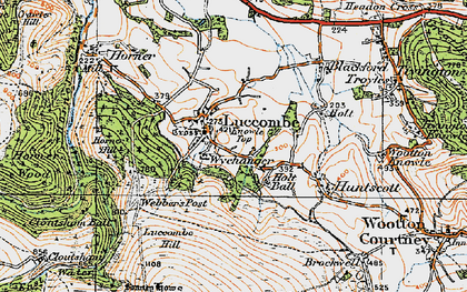 Old map of Luccombe in 1919