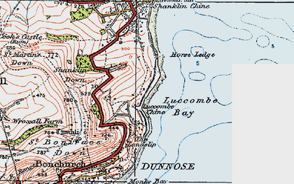Old map of Luccombe Village in 1919