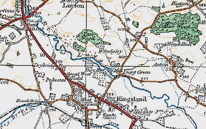 Old map of Lugg Green in 1920