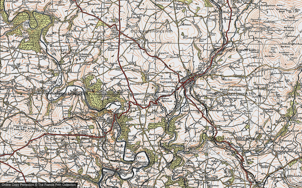 Old Map of Historic Map covering Buctor in 1919