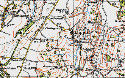 Old map of Luppitt in 1919