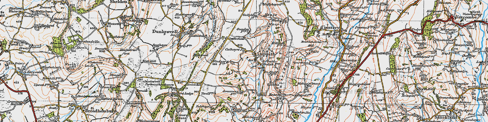 Old map of Luppitt in 1919