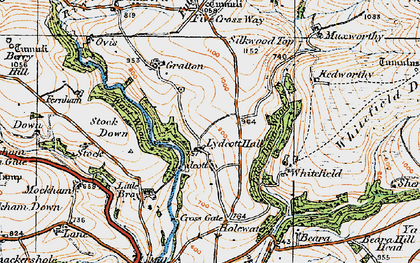 Old map of Lydcott in 1919