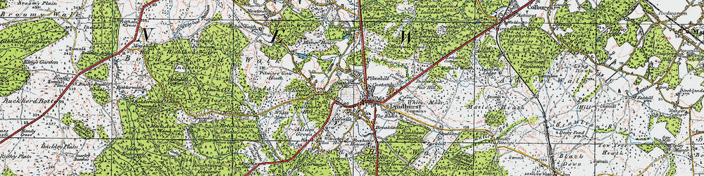 Old map of Lyndhurst in 1919