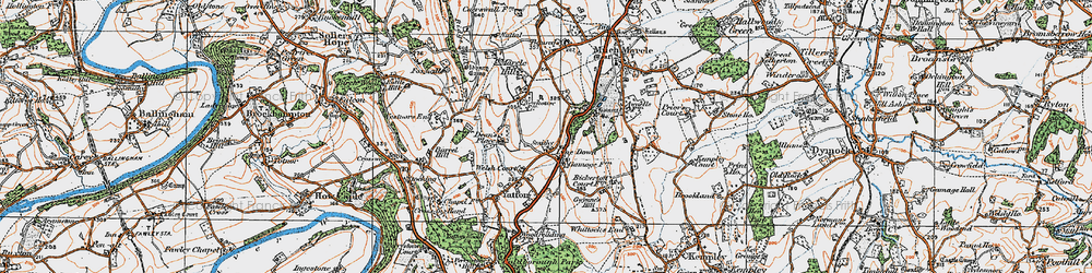 Old map of Lyne Down in 1919