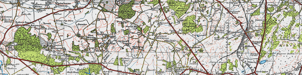 Old map of Lytchett Matravers in 1919