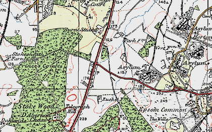 Old map of Malden Rushett in 1920