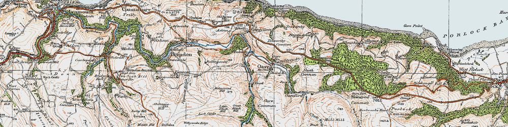 Old map of Badgworthy Lees in 1919