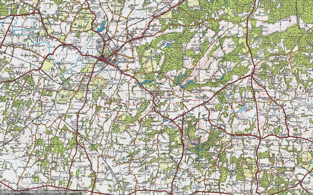Old Map of Mannings Heath, 1920 in 1920