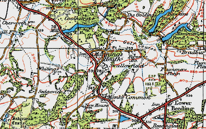 Old map of Mannings Heath in 1920