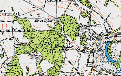 Old map of Manswood in 1919