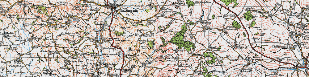 Old map of Mapperton in 1919