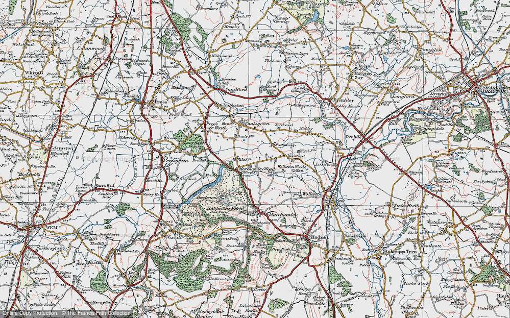 Marchamley Wood, 1921