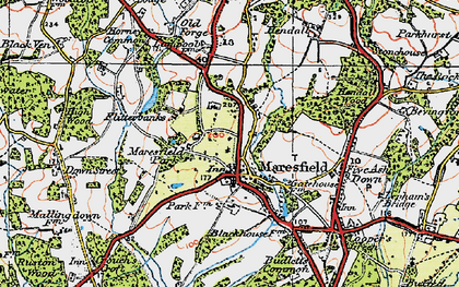 Old map of Maresfield Park in 1920