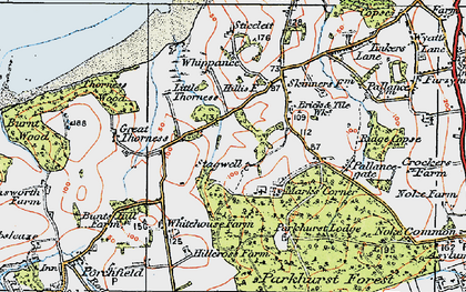 Old map of Parkhurst Forest in 1919