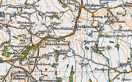 Old map of Marshwood in 1919