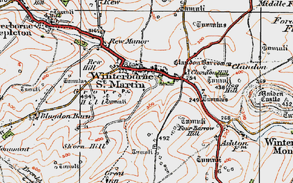 Old map of Martinstown in 1919