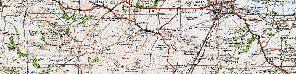 Old map of Martinstown in 1919