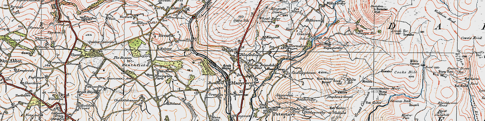 Old map of Mary Tavy in 1919