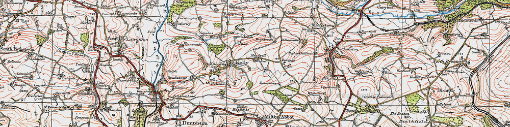 Old map of Meadwell in 1919