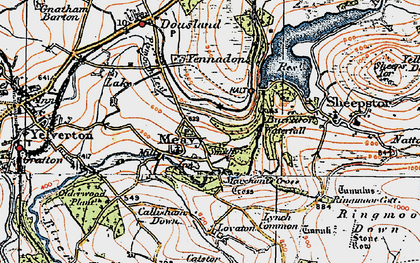 Old map of Meavy in 1919