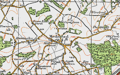Old map of Medstead in 1919