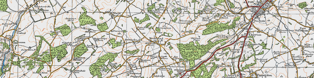 Old map of Medstead in 1919