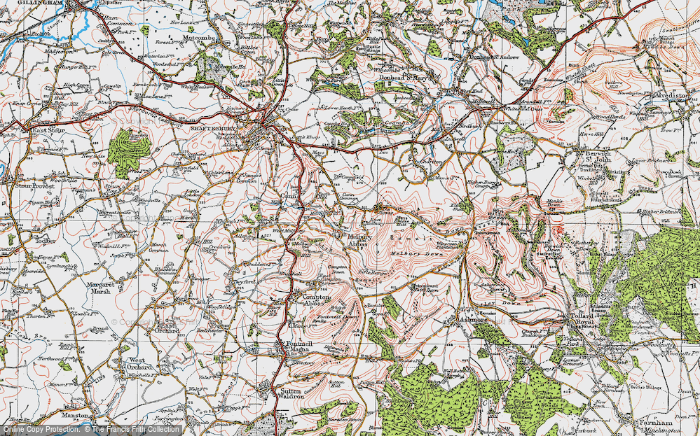 Old Map of Melbury Abbas, 1919 in 1919
