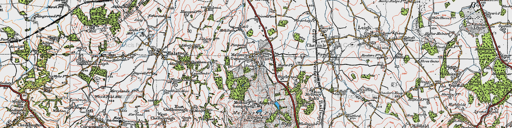 Old map of Melbury Osmond in 1919