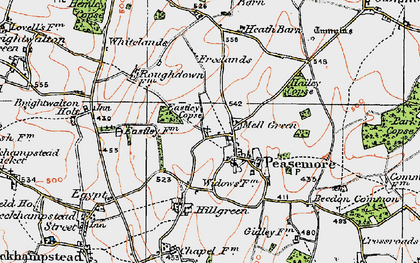 Old map of Mell Green in 1919
