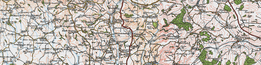 Old map of Melplash in 1919