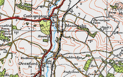 Old map of Meonstoke in 1919