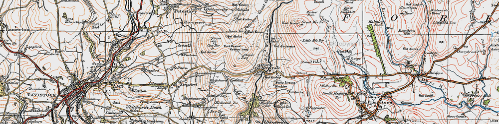 Old map of Whitchurch Common in 1919