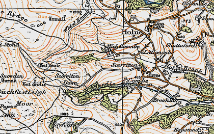 Old map of Buckfastleigh Moor in 1919