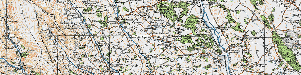 Old map of Middle Maes-coed in 1919