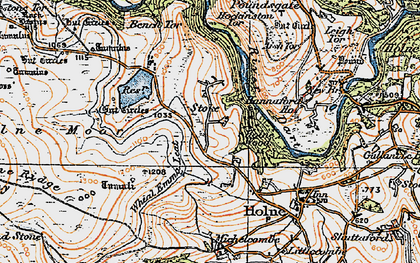 Old map of Middle Stoke in 1919