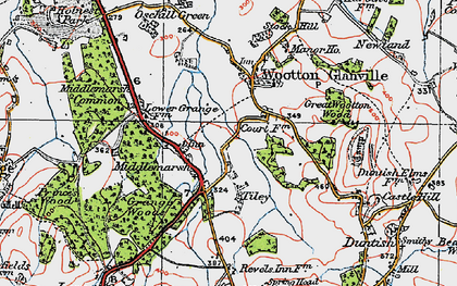 Old map of Middlemarsh in 1919