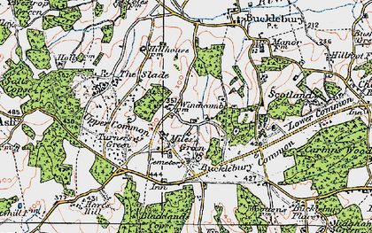 Old map of Miles's Green in 1919