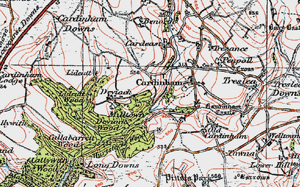 Old map of Lidcutt Wood in 1919