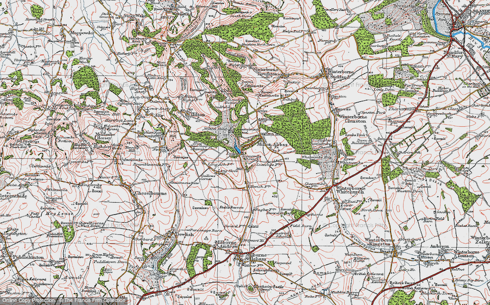 Old Map of Milton Abbas, 1919 in 1919