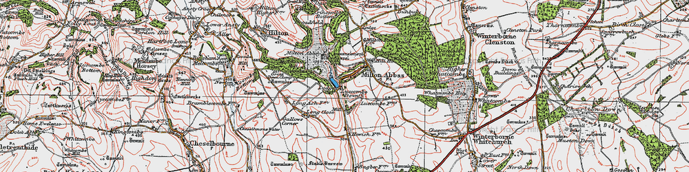 Old map of Milton Abbas in 1919