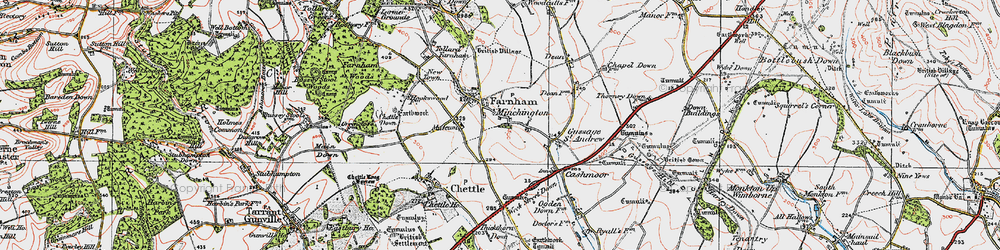 Old map of Minchington in 1919