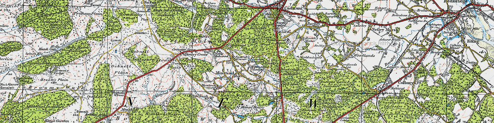 Old map of Minstead in 1919