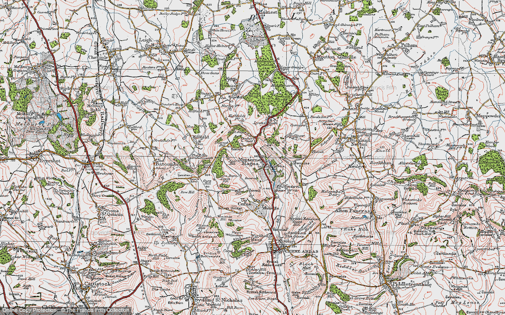 Old Map of Minterne Magna, 1919 in 1919