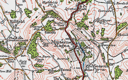 Old map of Minterne Magna in 1919