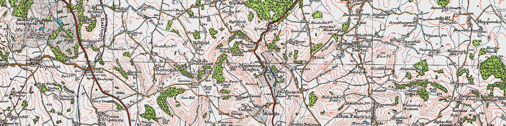 Old map of Minterne Magna in 1919
