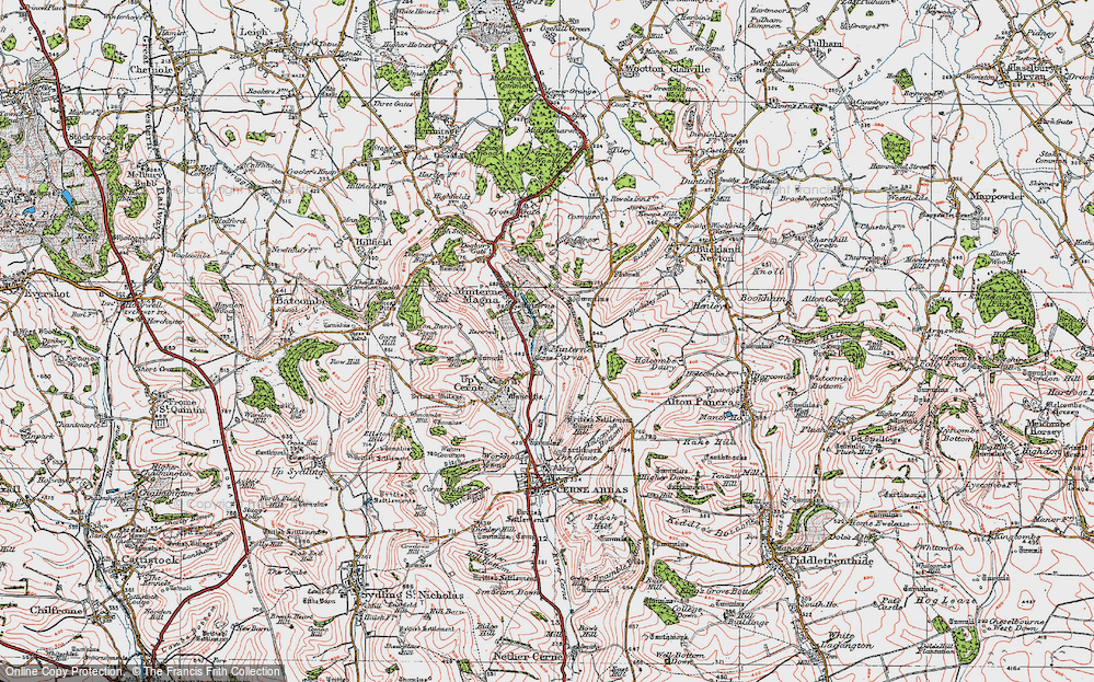 Old Map of Minterne Parva, 1919 in 1919