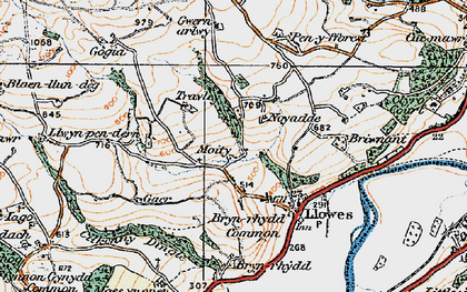 Old map of Bryn-y-garth in 1919