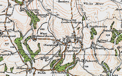 Old map of Molland in 1919