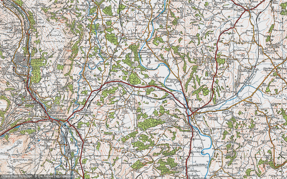 Old Map of Monkswood, 1919 in 1919
